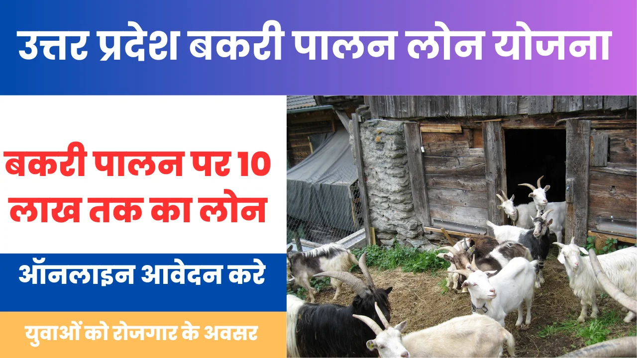 UP Bakri Palan Loan Yojana