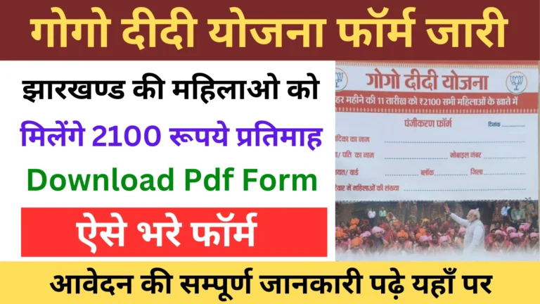 Gogo Didi Yojana Form Pdf Download